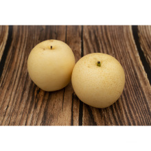 New Crop Fresh Golden Pear/Fengshui Pear/Sino Pear From Garden